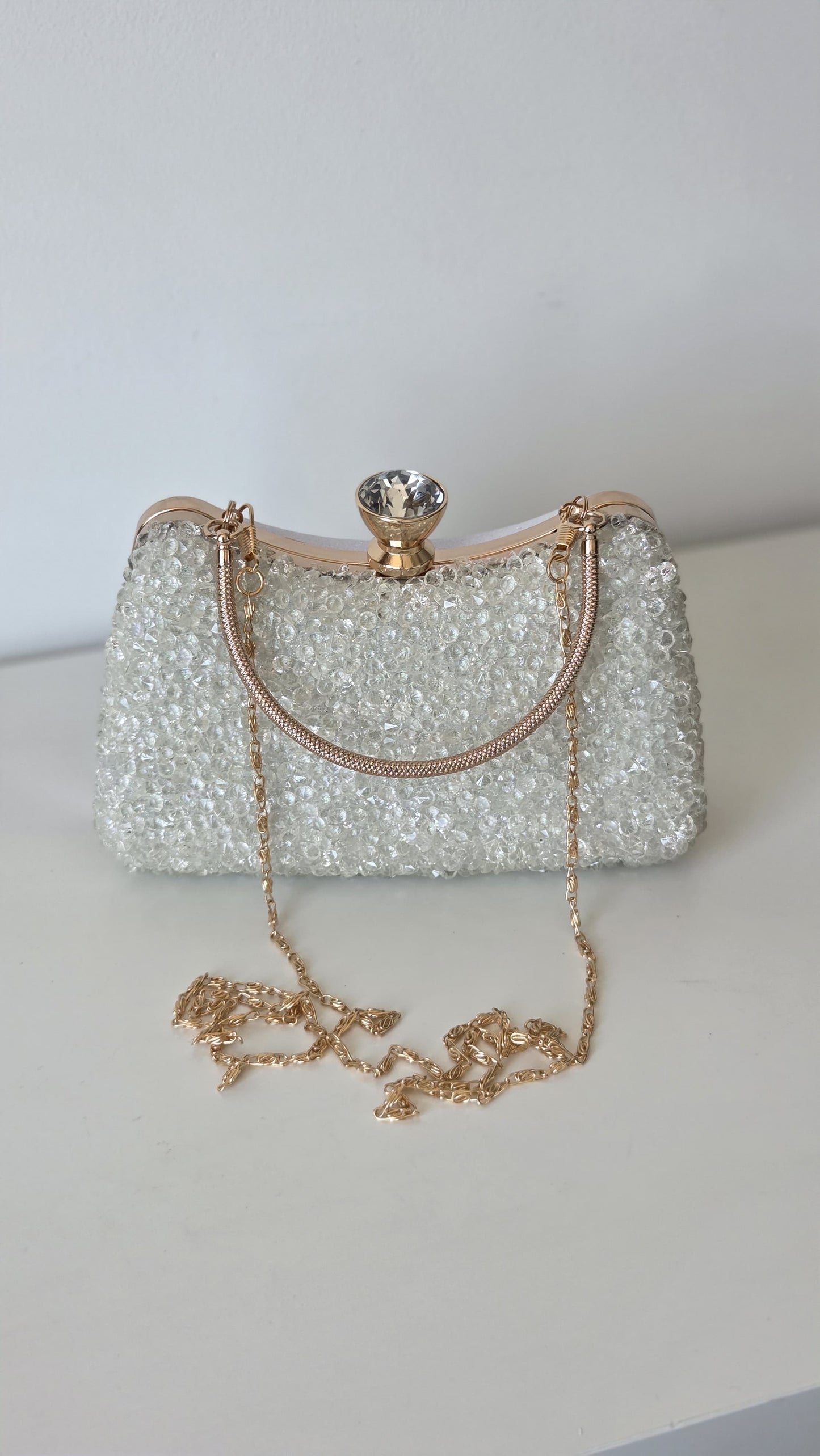 Gem Clutch bag